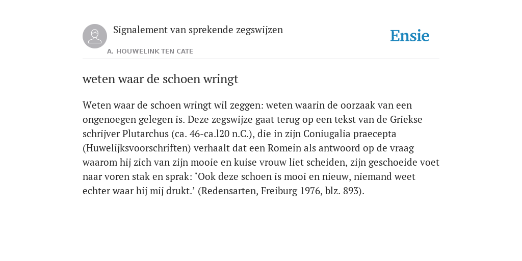 Weten Waar De Schoen Wringt