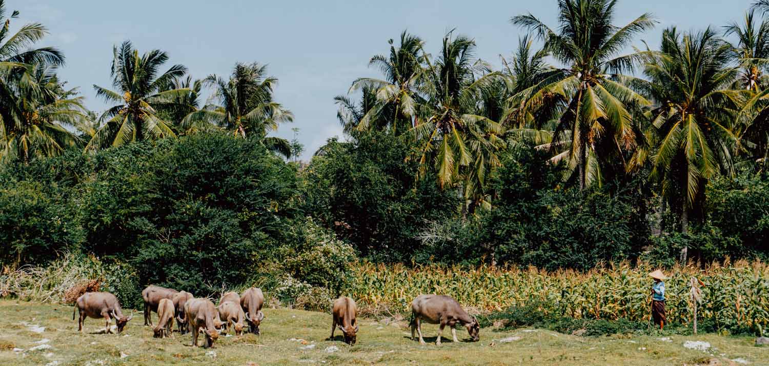 Wie Is De Mol Seizoenen Landen