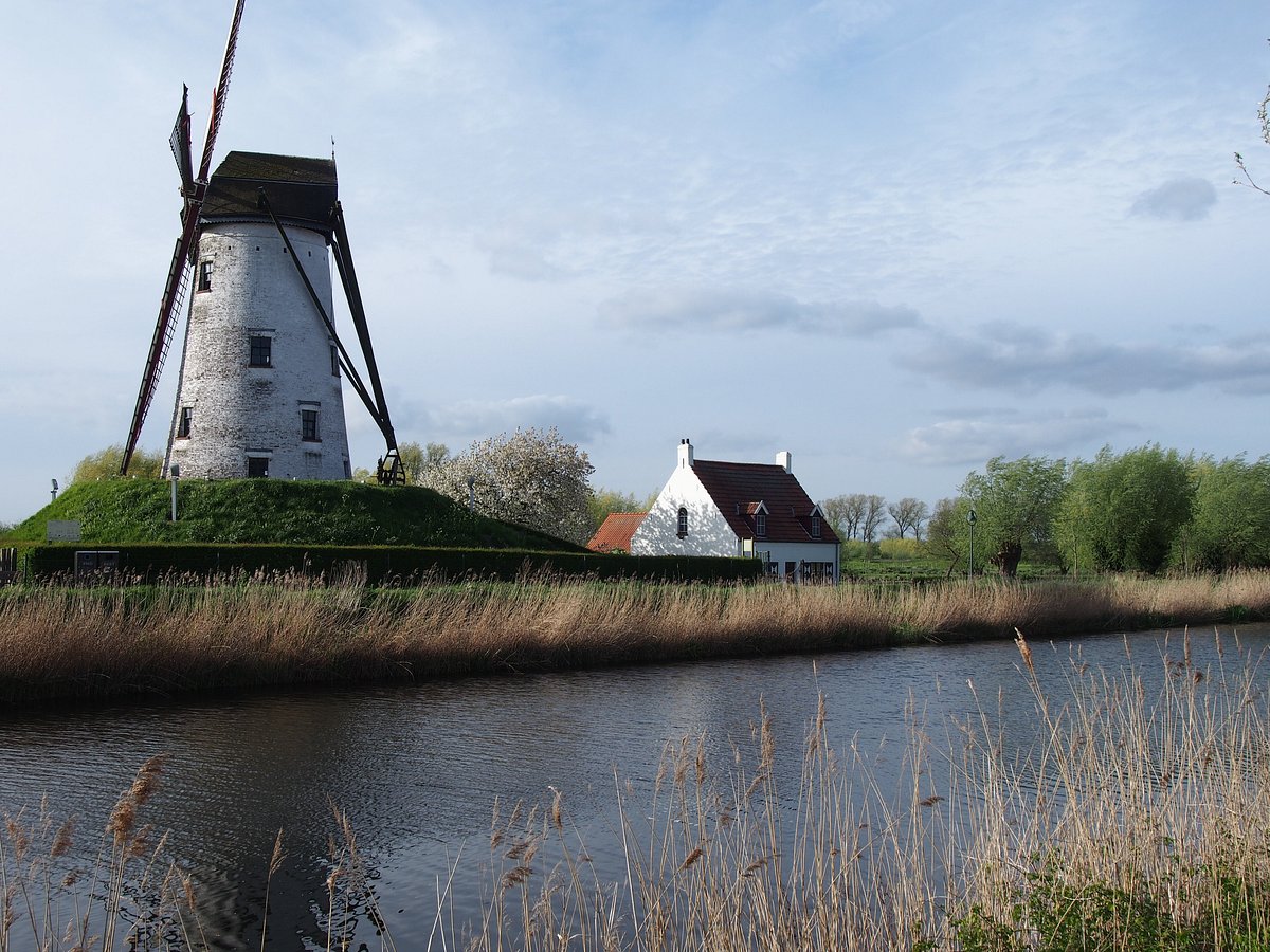 Windmills In Belgium