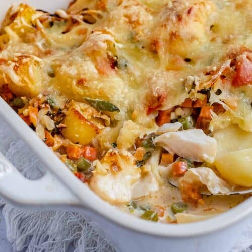 Zalm Prei Ovenschotel