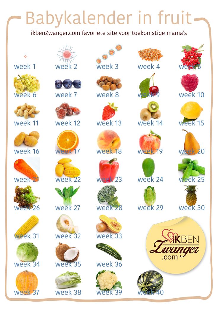 13 Weken Zwanger Fruit