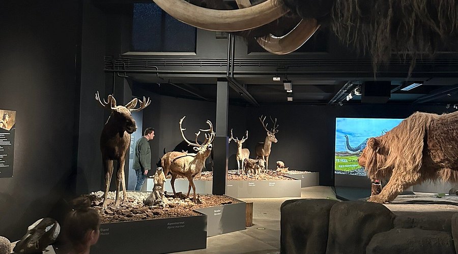 Boerenmuseum Brabant