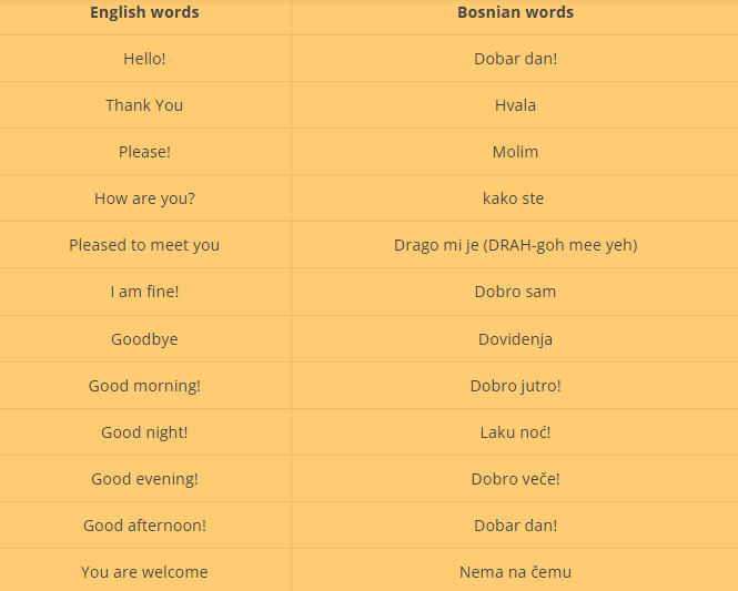 Bosnia Language To English