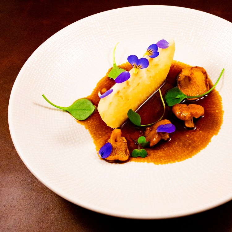 Cantharel Food Recipes