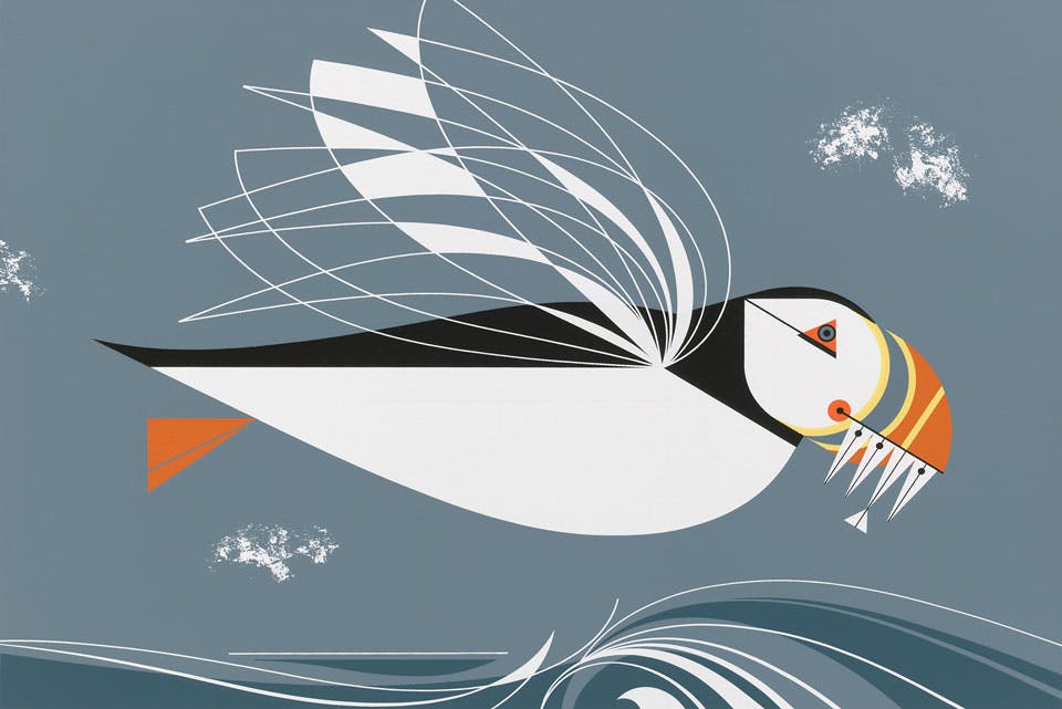 Charley Harper Art