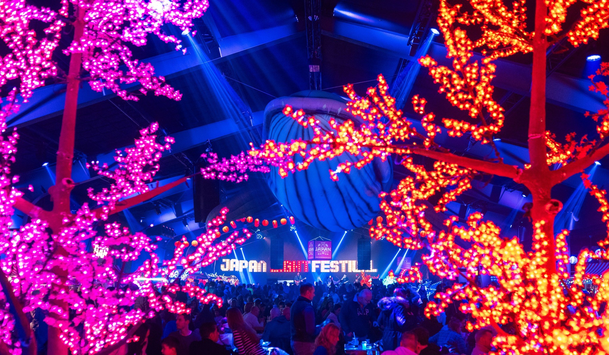 Cherry Blossom Festival Rotterdam