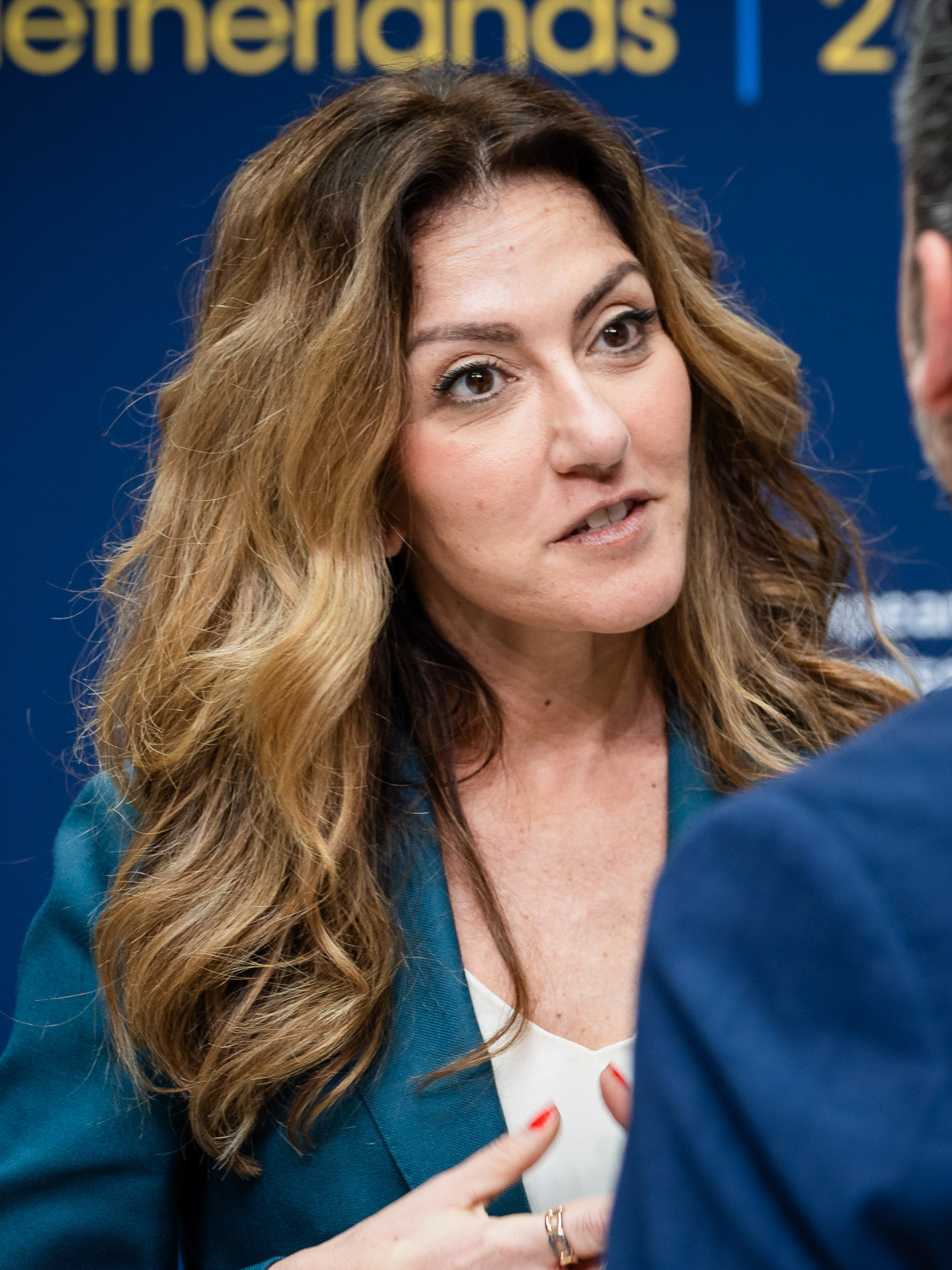 Dilan Yeşilgöz Previous Offices