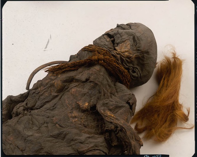 Drents Museum Bog Bodies