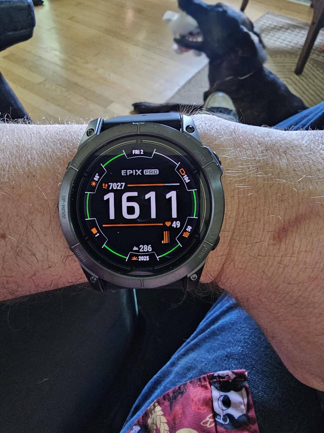 Garmin Epix Pro Gen 2 51mm Reddit