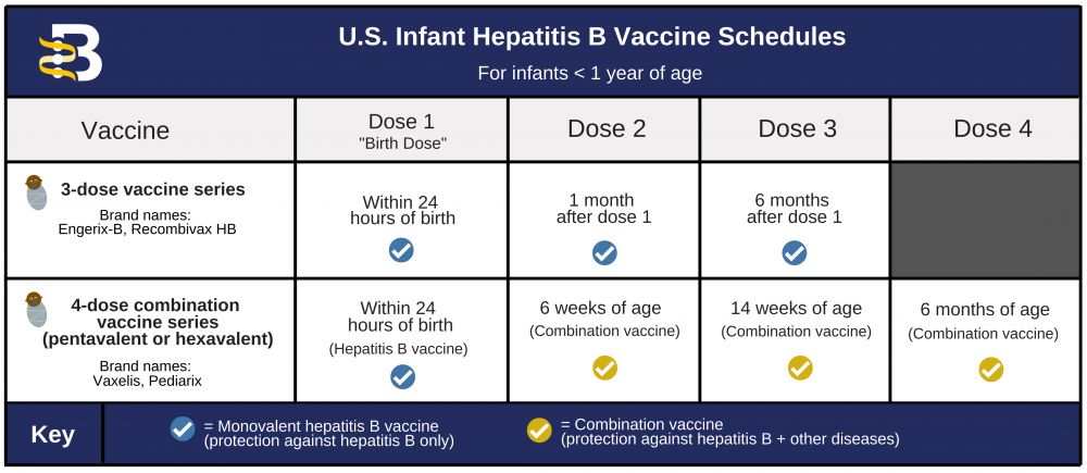 Hepatitis B Vaccine