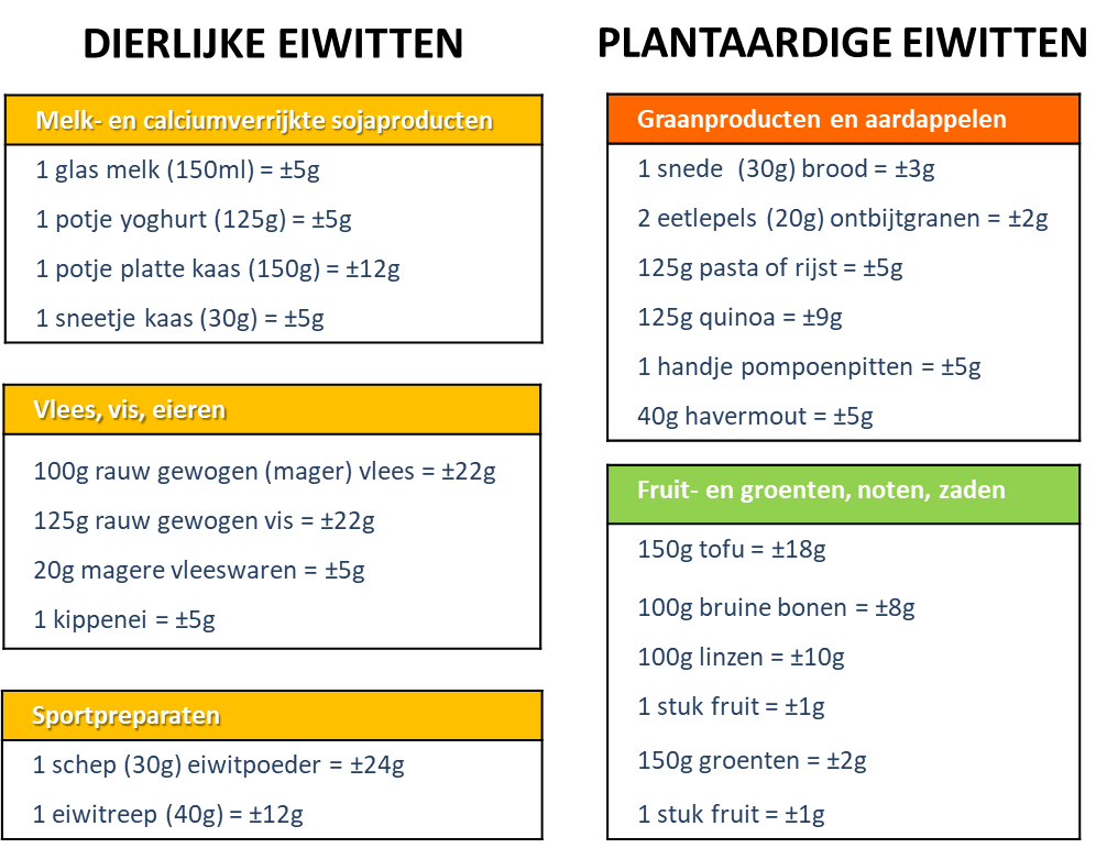 Hoeveel Eiwitten Per Dag Man