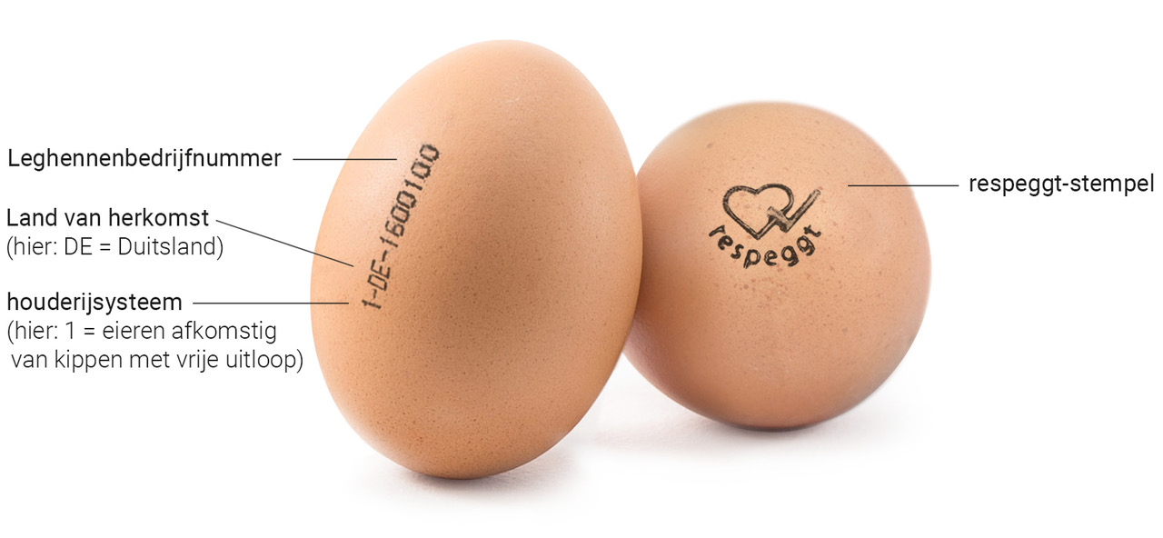 Hoeveel Weegt Een Ei