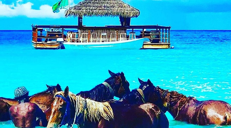 Kon Tiki Bar Antigua