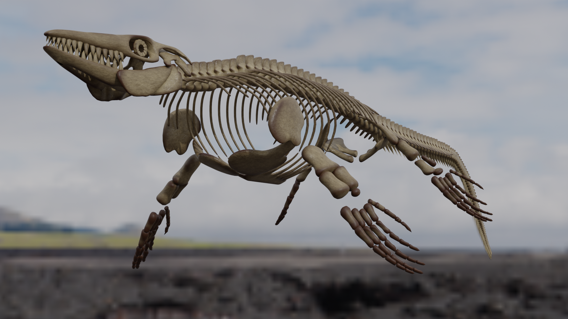 Mosasaurus Skeleton 3D Model