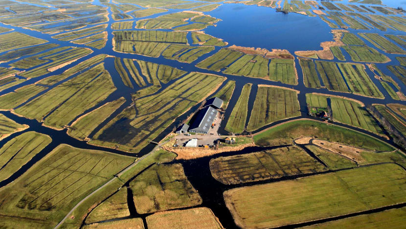 Netherlands Dikes And Polders