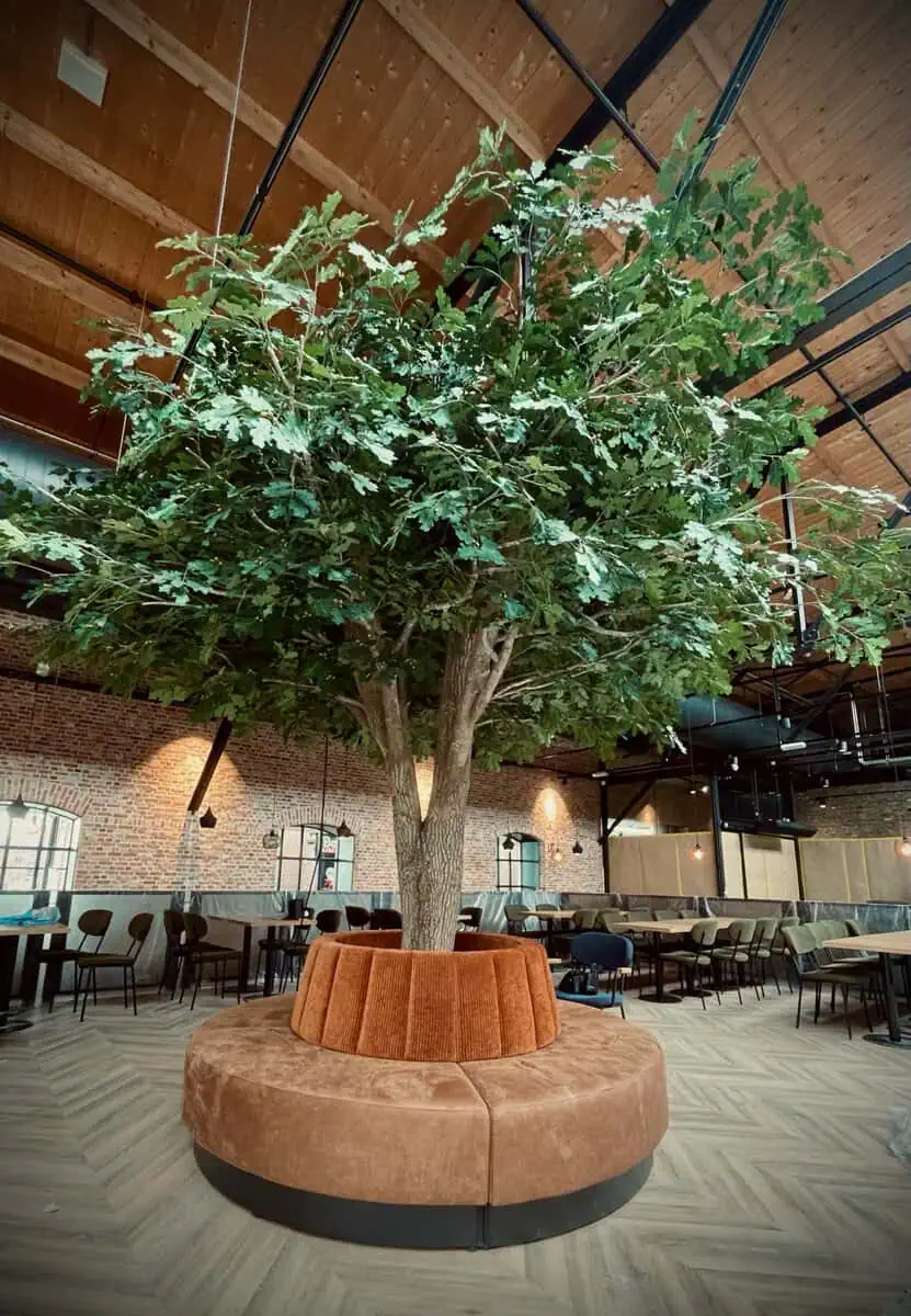 Restaurants Bergen Op Zoom