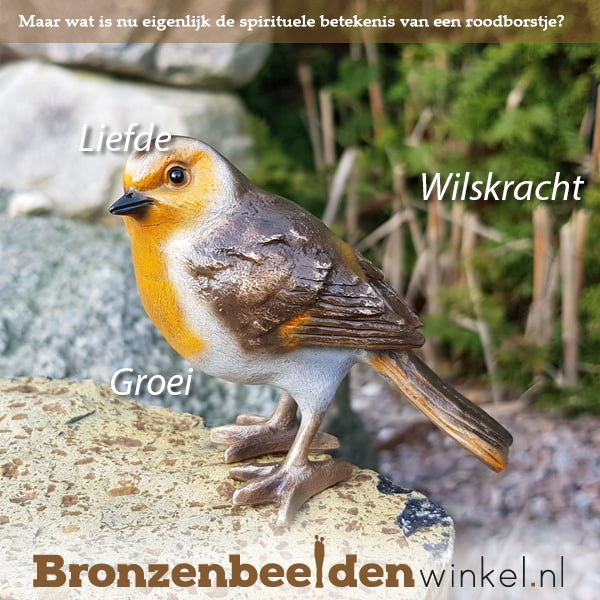 Roodborstje Spirituele Betekenis