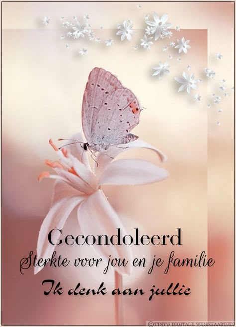 Sterkte En Gecondoleerd