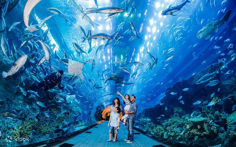 Underwater Aquarium