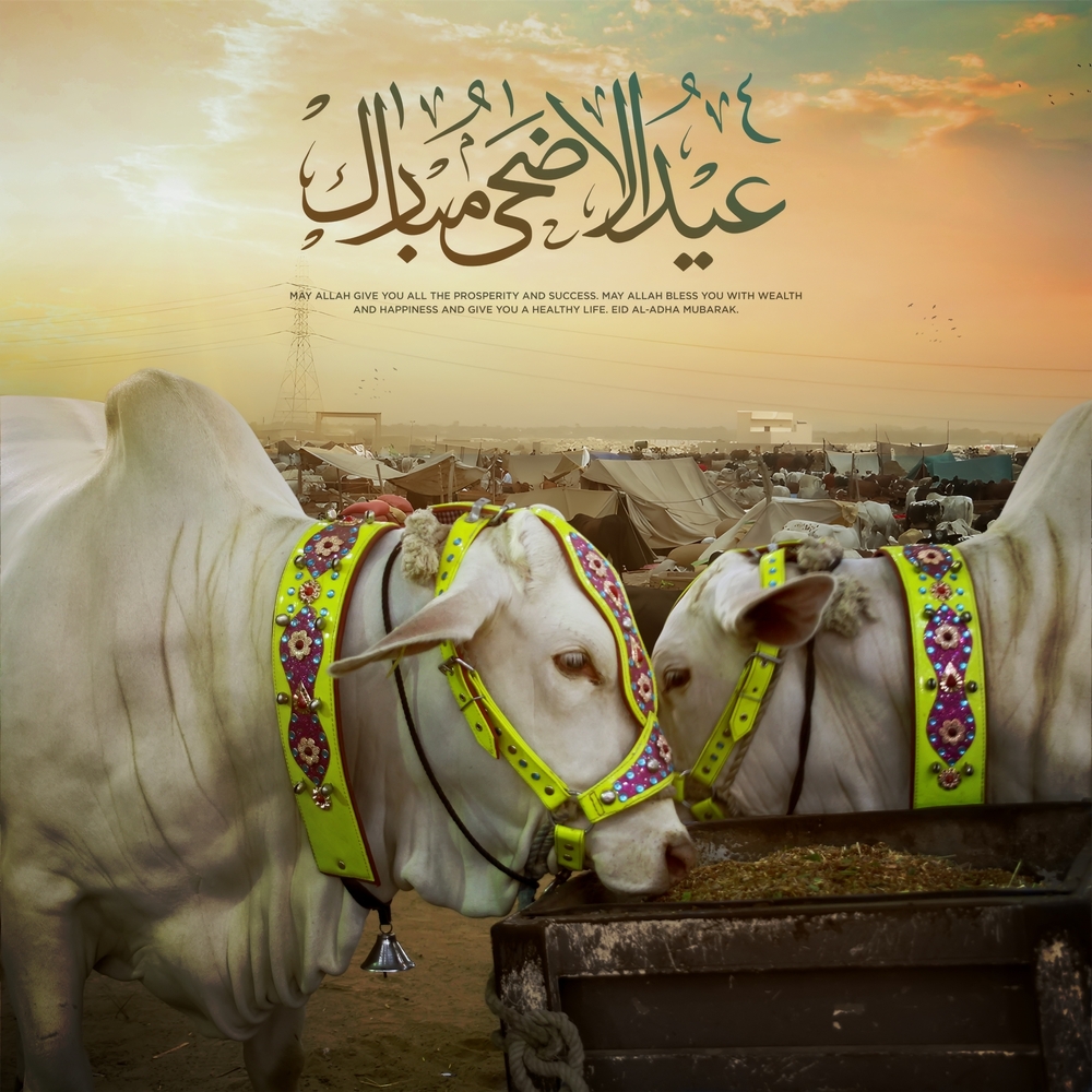 Wanneer Is Eid Al Adha 2025 Pakistan