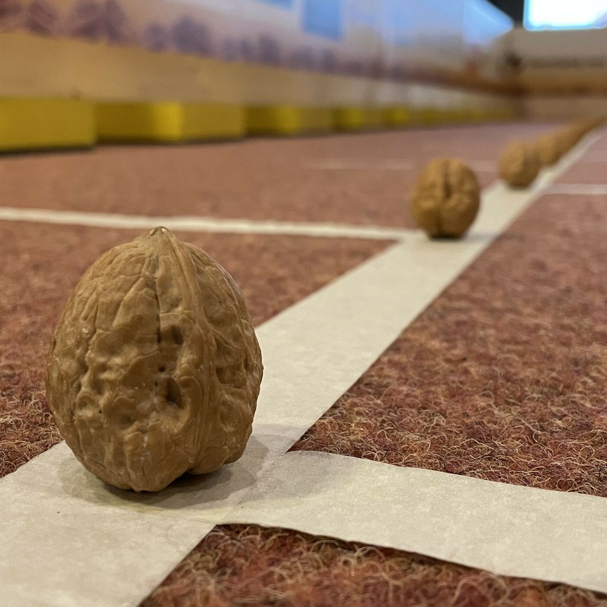 Wat Te Doen Met Pasen Drenthe