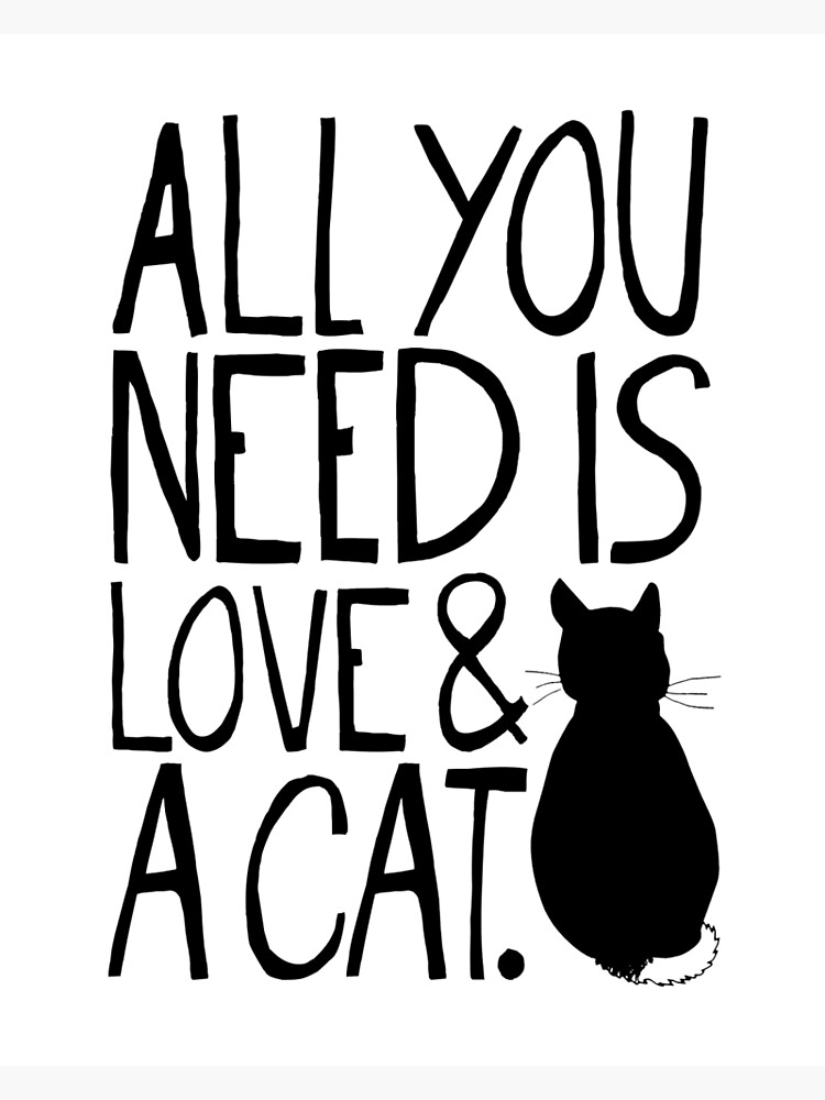 All You Need Is Love And A Cat Quote