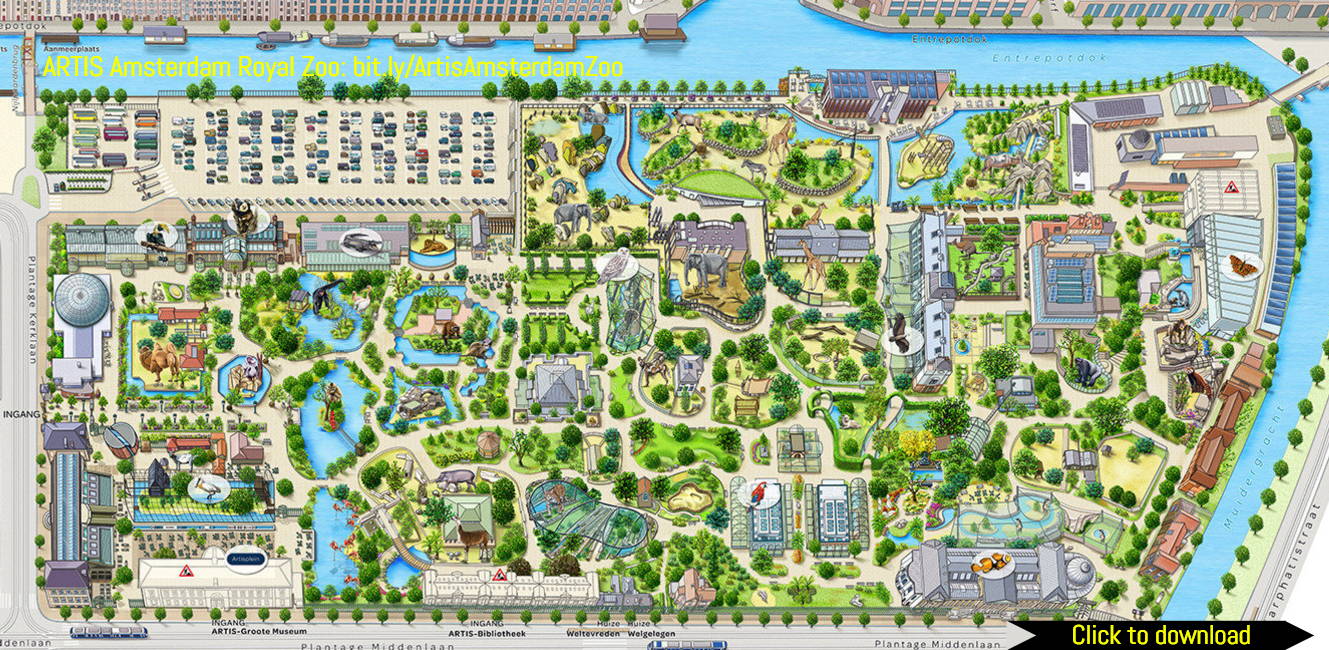 Artis Magistra Zoo In Amsterdam Prices Tickets