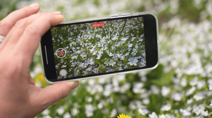 Beste Planten App Gratis