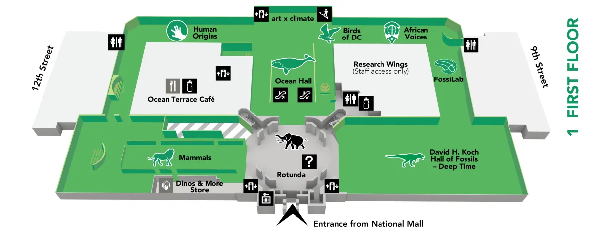 Corpus Museum Map Pdf
