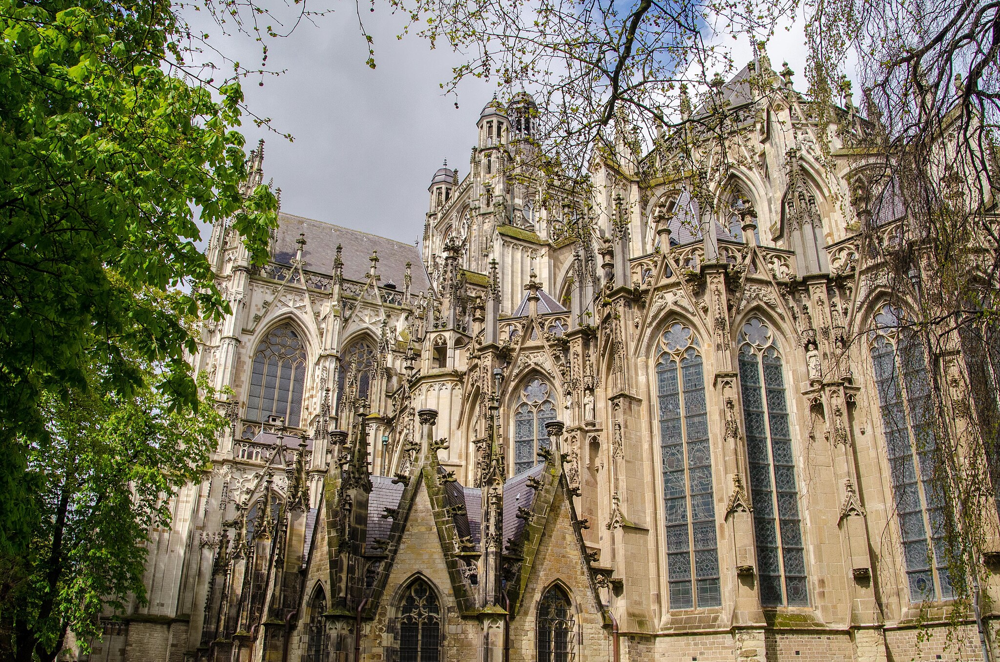 Den Bosch News Today