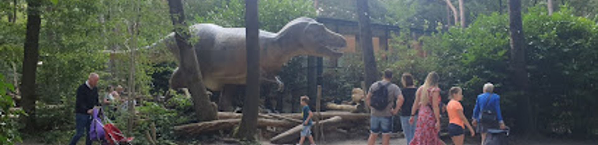 Dierenpark Amersfoort Dinobos Age