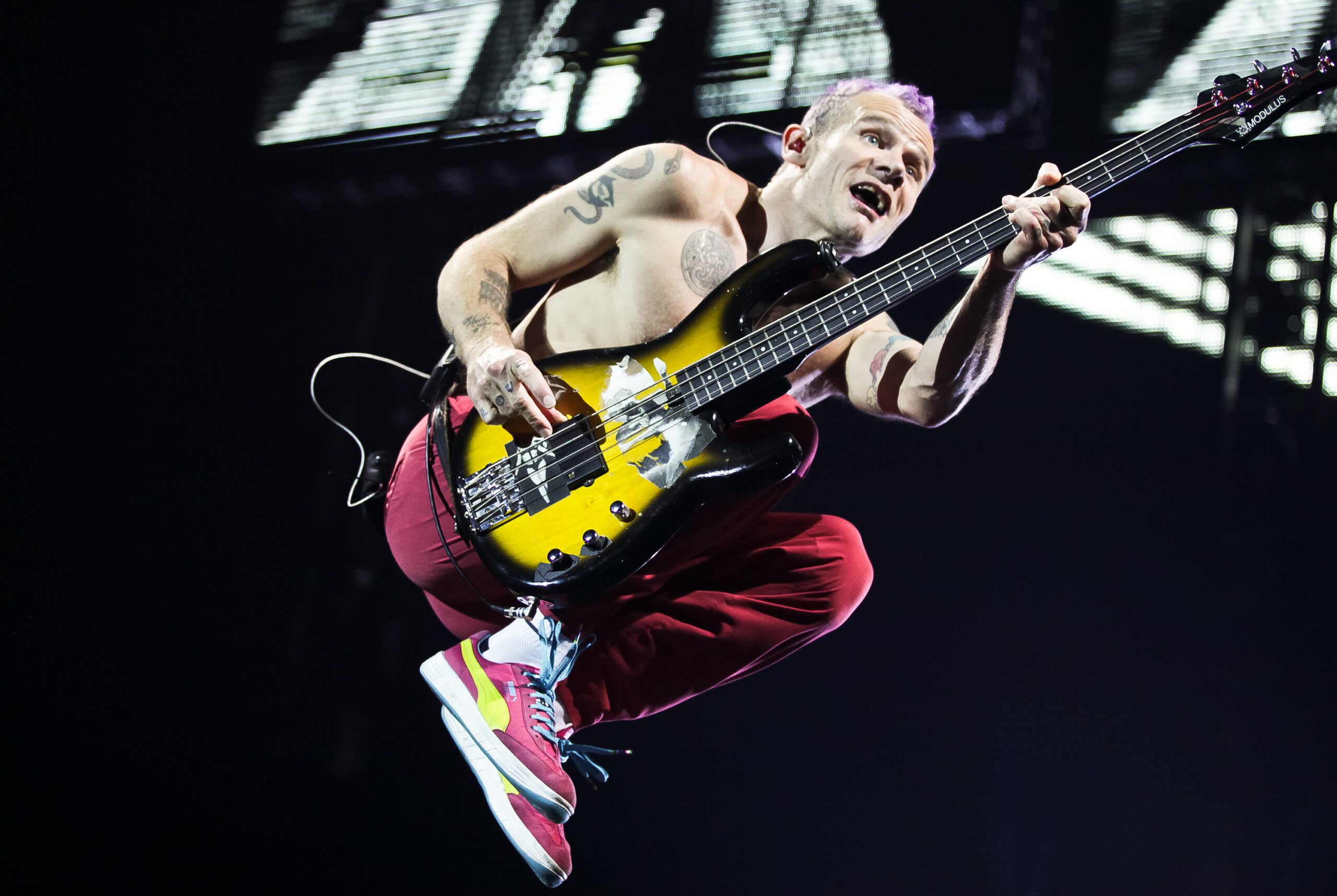 Flea (musician) Net Worth