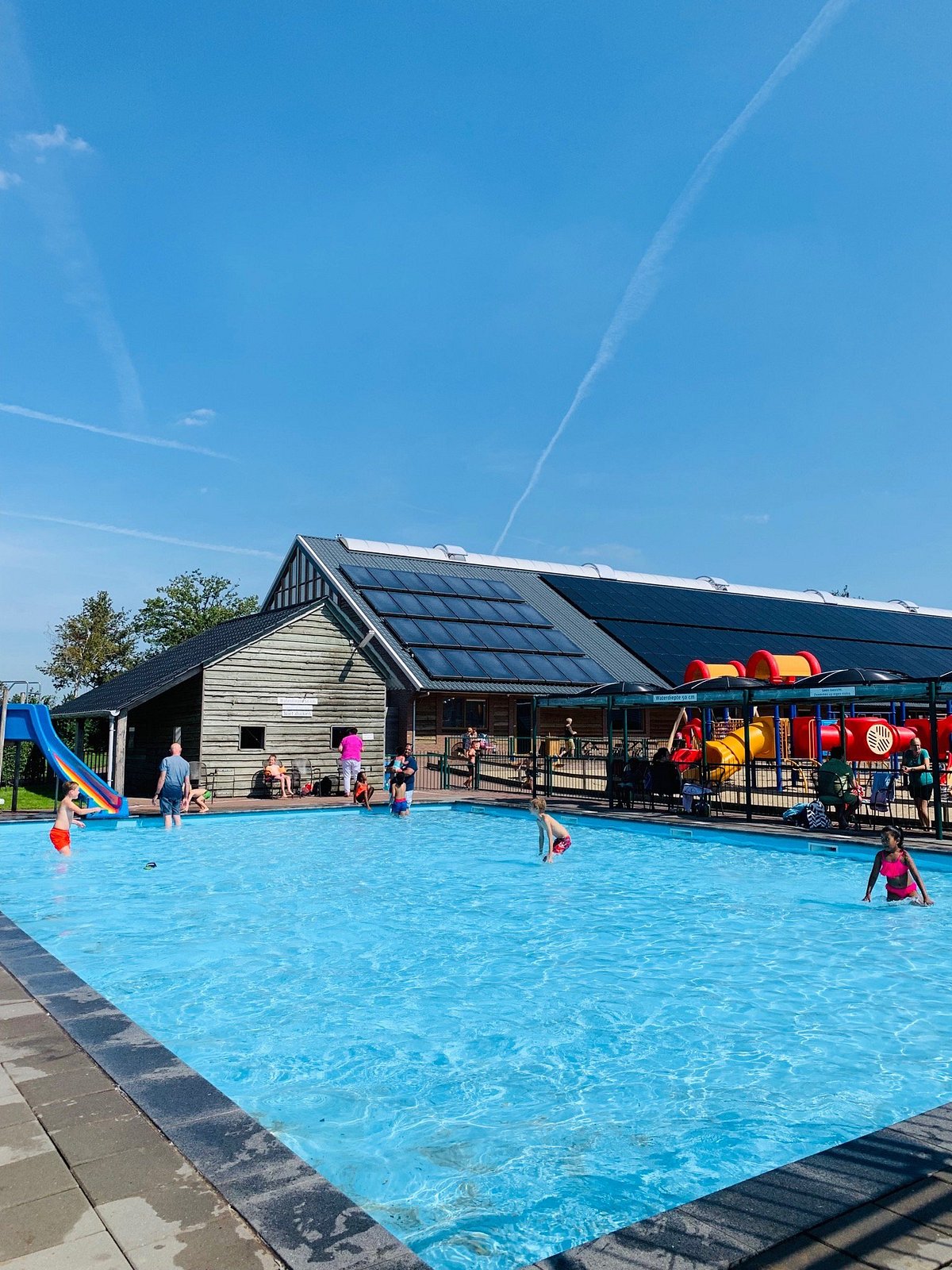 Flierefluiter Engels