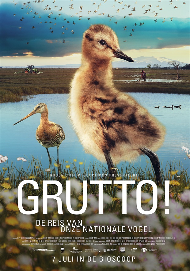 Grutto Vogel