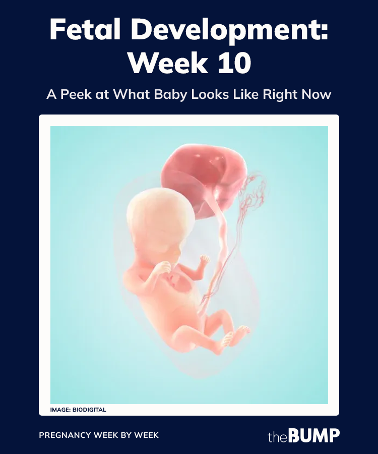 How Do I Know If My Baby Is Still Alive At 10 Weeks