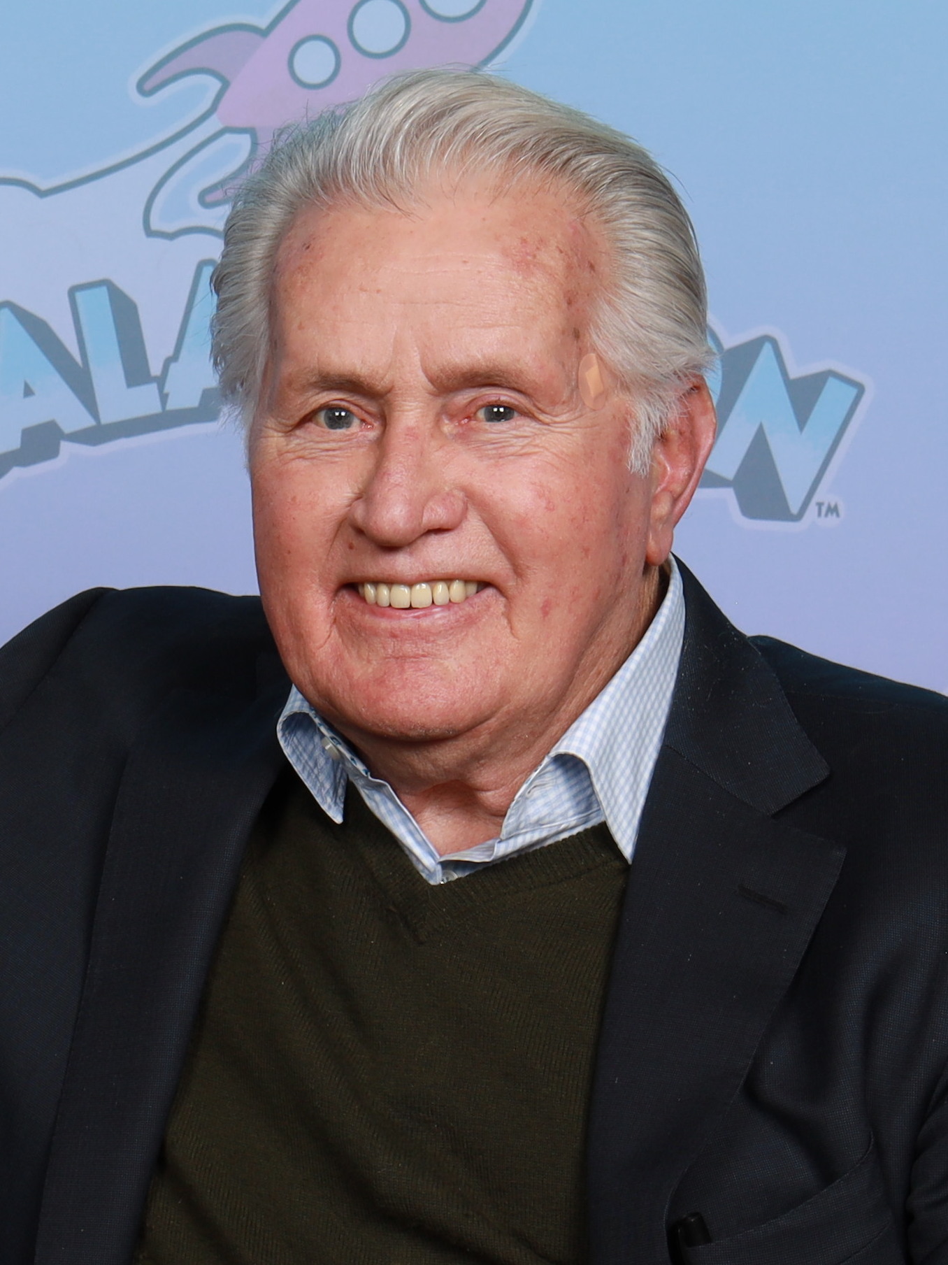 Martin Sheen Movies And TV Shows