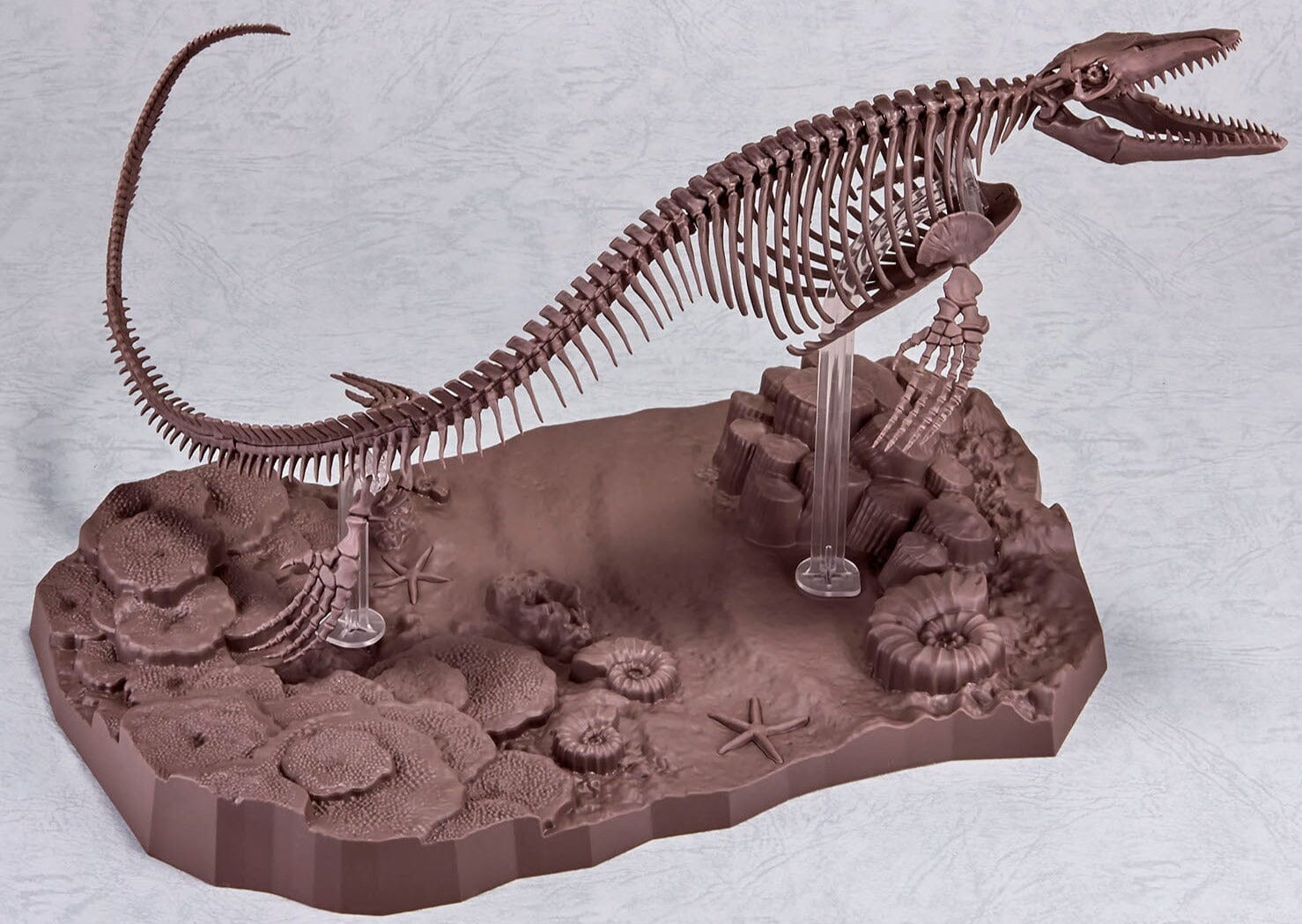 Mosasaurus Skeleton Model