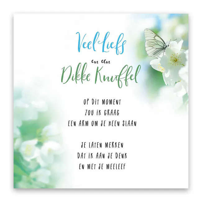 Sterkte Knuffel Overlijden