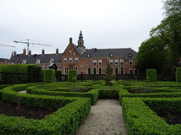 Wat Te Doen Vandaag Groningen Age