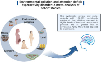 ADHD Environment: Simple Changes to Calm Symptoms