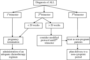 AML Pregnancy Treatment: What Every Expecting Mom Needs