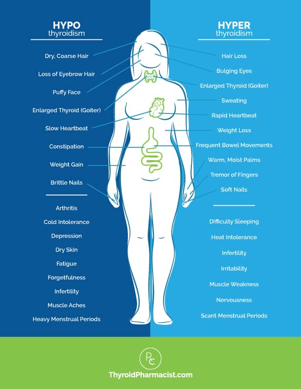 Armour Thyroid Symptoms – What You Need to Know