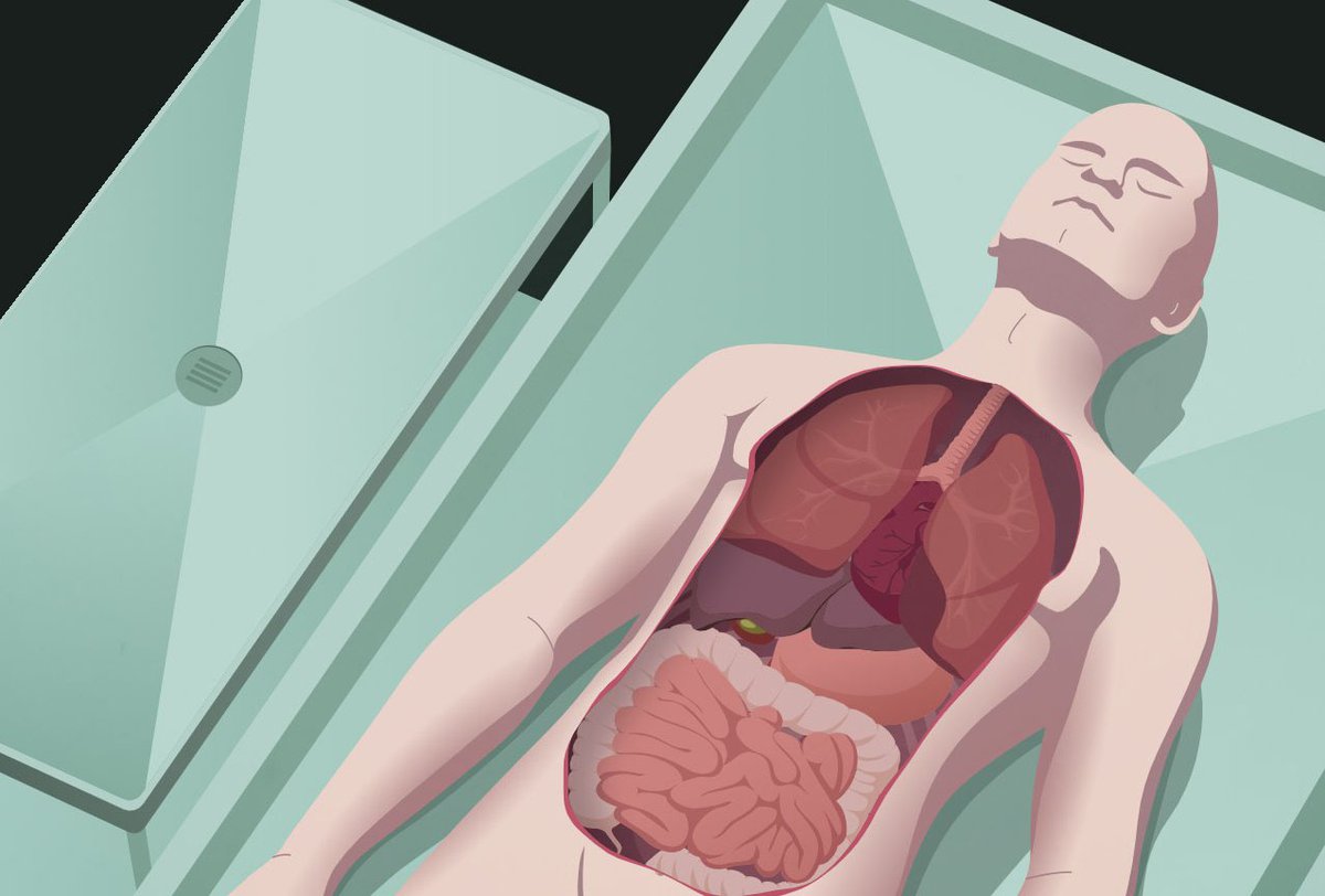 Autopsy Procedure Explained: What You Should Know