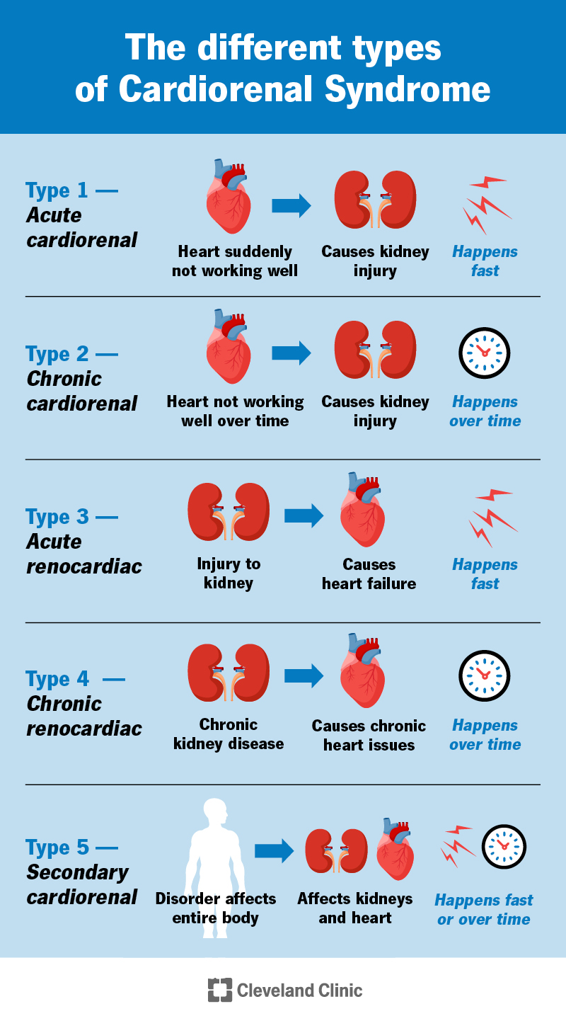 Cardiorenal Syndrome: Types, Treatment & Outlook
