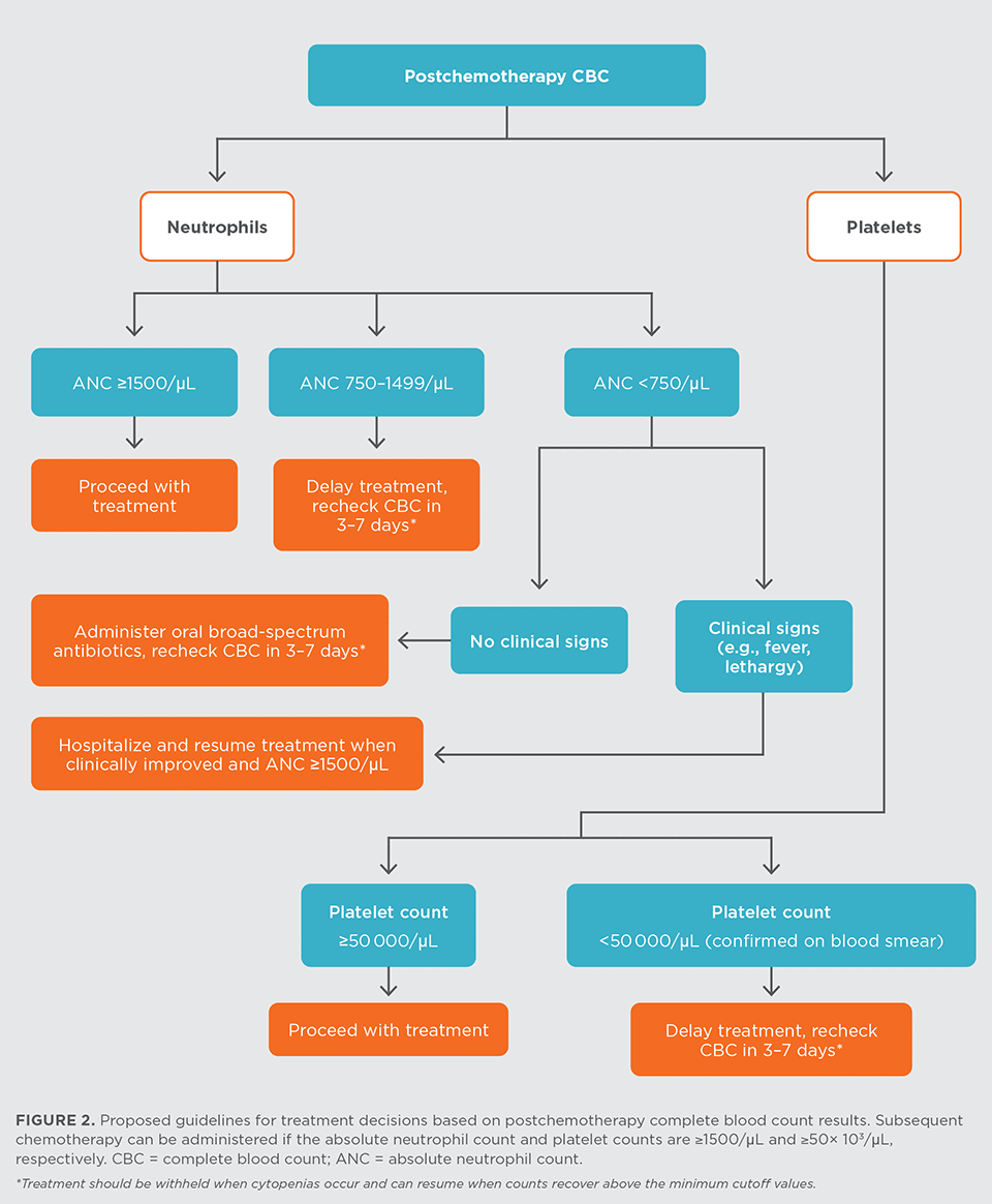Chemotherapy Monitoring: Safeguard Your Treatment
