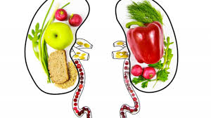 Kidney Cancer Foods: What to Eat & What to Avoid