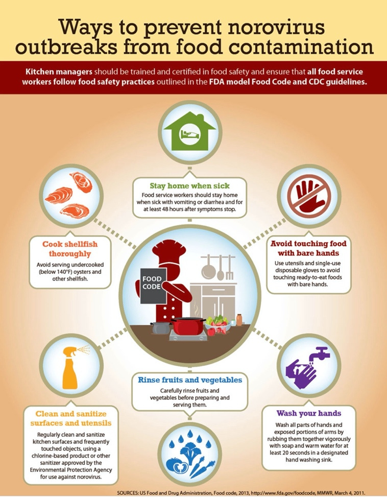 Kill Norovirus at Home – Fast, Safe, Proven Ways