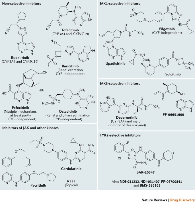 List of Natural JAK Inhibitors – What Really Works