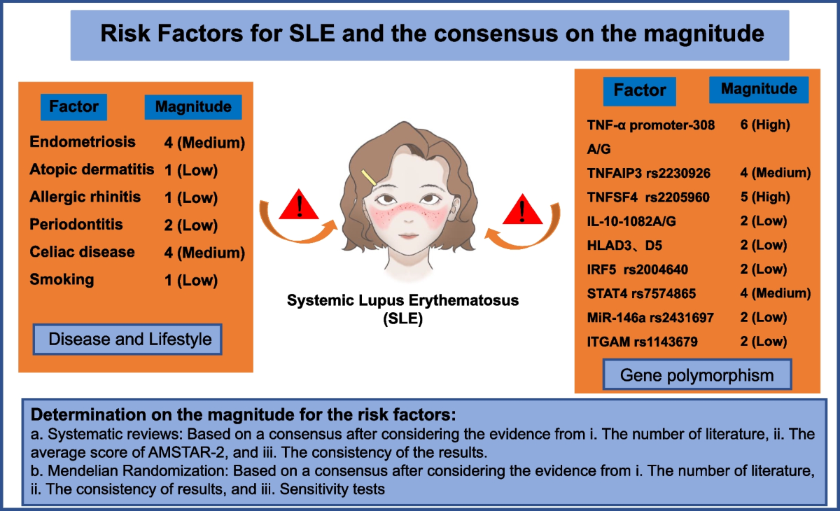 Lupus Risk: What Increases It & How to Spot Early Signs