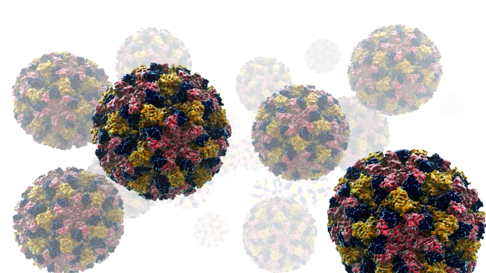 Lysol vs Norovirus: What Works & How to Clean Safely